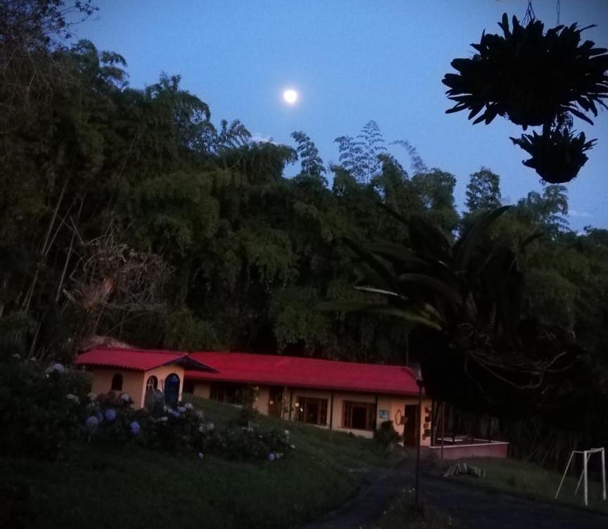 Filandia - Finca Rural La Guadalupana Hotell Exteriör bild