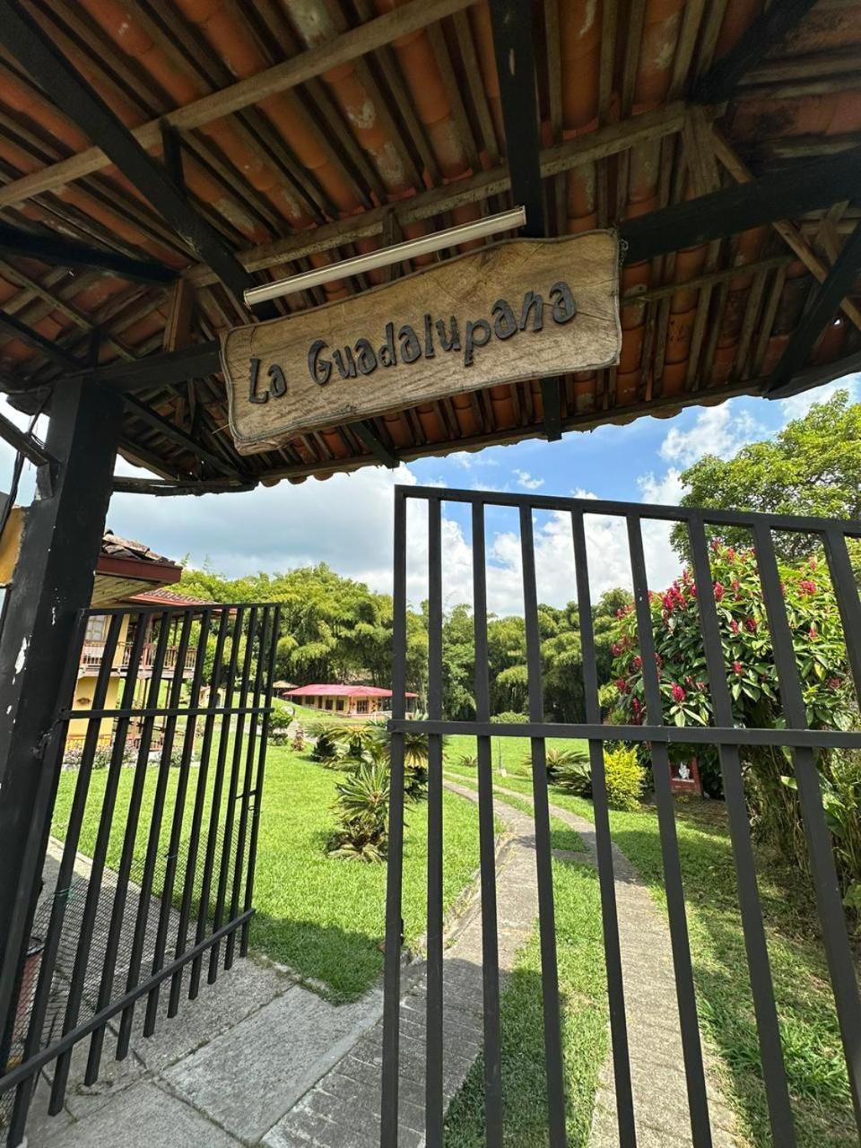 Filandia - Finca Rural La Guadalupana Hotell Exteriör bild
