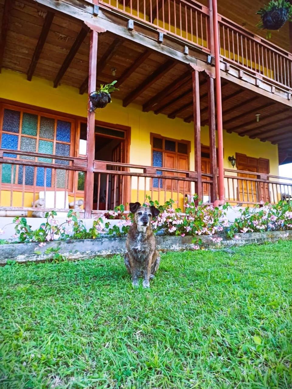 Filandia - Finca Rural La Guadalupana Hotell Exteriör bild